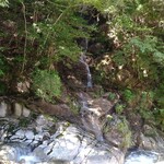 さかなどころ ともさき - 