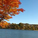 ホテルアンビエント蓼科 - ホテル前の女神湖散策