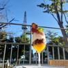 ELOISE’s Cafe 名古屋レイヤード久屋大通公園店
