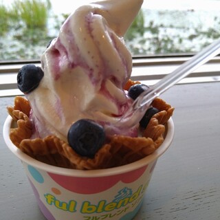 ココナッツ・アイランド_0