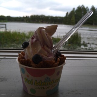 ココナッツ・アイランド_1