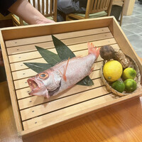 のどぐろ専門 銀座 中俣 - 