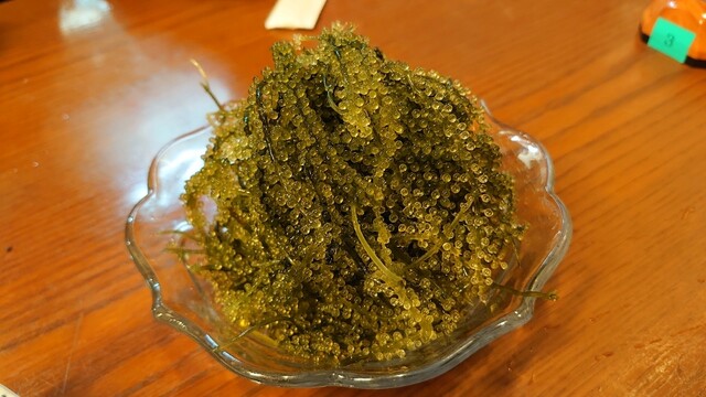 沖縄料理 めんそ れ 長浜 沖縄料理 食べログ 沖縄料理 めんそ れ 長浜 沖縄料理 食べログ