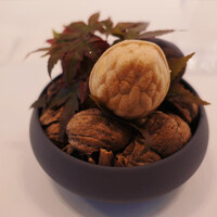RISPETTO - 