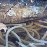 竹やぶ - にしんそば　のアップ