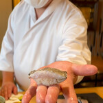 登喜和鮨 - 新潟産太刀魚藁炙り