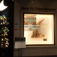 筑紫樓 銀座店 - 