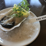 The Oyster Bar Kobe - 