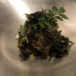 Alternative - 黒鮑