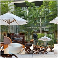 オーク ドア - またまた うっかりコーヒーを飲んでしまった後の写真です。 オーク ドア - またまた うっかりコーヒーを飲んでしまった後の写真です。