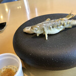 テアトロ ディ マッサ - 