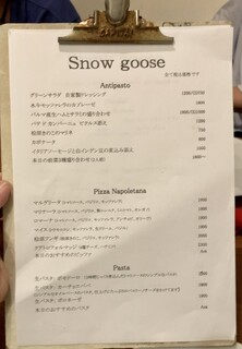 Snow goose - 