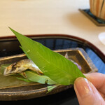 山玄茶 - ｢蓼食う虫も好き好き｣の蓼(たで)の葉(*´▽`人)
