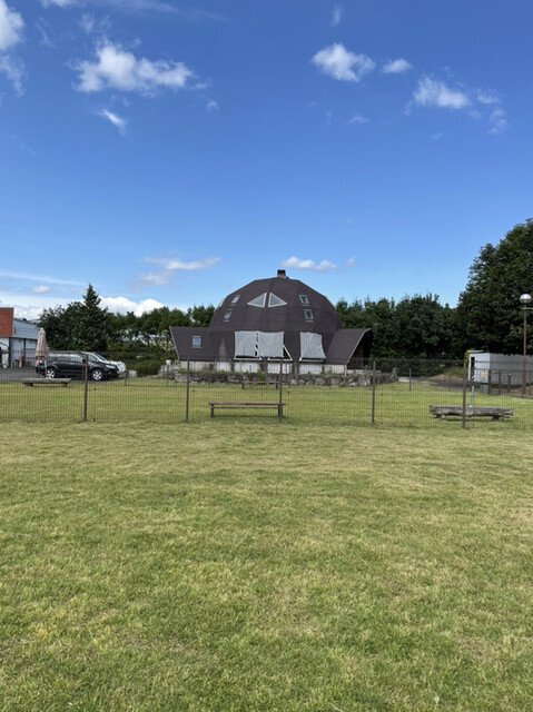 パアニ　ドッグカフェ（Paani dog cafe） - 近津（カフェ）の写真