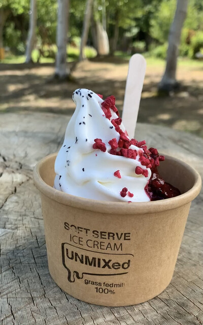 ソフトクリーム UNMIXed Sapporo | 札幌ソフトクリーム専門店 (@unmixed_sapporo