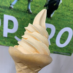 北海道どさんこプラザ - めちゃくちゃ美味しい夕張メロンソフト