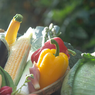 アルタビスタガーデン _0