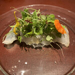 イル アオヤマ - 