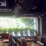 パンビュッフェ&肉イタリアン 茶屋町 ファクトリーカフェ - 爽やかな緑と光が気持ちいい・・・