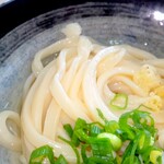 Fujimi Udon - 冷かけ1玉　(麺)