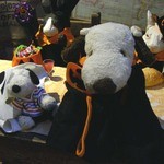 うさぎとぼく - ボキとちびつぬもしっかりハロウィンのコスプレしてます！