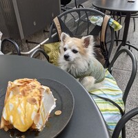 GARB Tokyo -  GARB Tokyo -