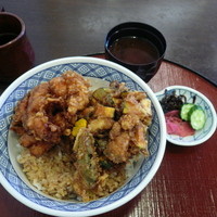 天ぷらふく西 禅と匠 - ビジネスランチかき揚げ丼