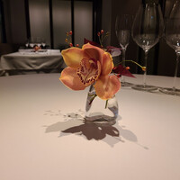 Ristorante YAMAZAKI - 