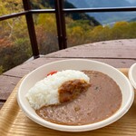 Dake Sawa Goya - ベジタブルカレー1000円