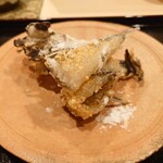 津の守坂 小柴 - 目光の天ぷらでここまで柔らかい骨は初めて！！