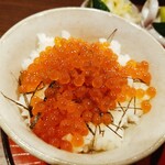 小料理 佐吉 - イクラ丼