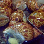 紋乃丞 - 黒つぶ貝