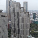 KEIO PLAZA HOTEL TOKYO - 部屋からの都庁