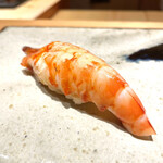 鮨 さいとう - 車海老