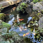 タカラ湯 - 錦鯉を愛でる