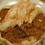 おばた - 柴山のせいこ蟹UP