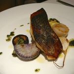 カンブーザ - 【三浦産 天然黒鯛とホタテ貝のソテー、ハーブのバットゥータソース】◎2012/11