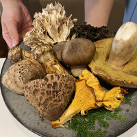 アーティショー - フランス産天然キノコ