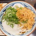 Marugame Seimen - 