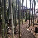 カフェ おきもと - 入り口からの竹林