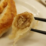 中華料理 天宝 - ・「とんとん餃子(¥500)」の断面。