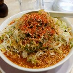 味噌らーめんの店 しなり丸 - ねぎラーメン・辛味噌ダレトッピング(赤で普通盛り)・胡椒、擦り胡麻、一味唐辛子いっぱい