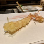 神楽坂 よこ田 - 