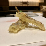 神楽坂 よこ田 - 