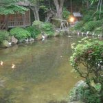 山の寺 邑居 - 入り口横の池