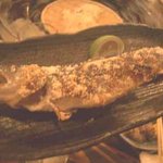 山の寺 邑居 - やまめの塩焼き：700円