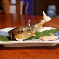 飛騨季節料理 肴 - 