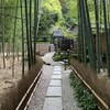 休耕庵 竹の庭の茶席