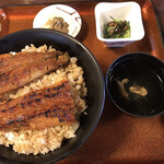 うなぎ料理 丑松 - うなぎ丼（特上）