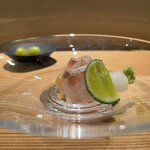 島津 - クエ
      五島列島で揚がった4kgと小さめな個体。 締まった身にしっかりと脂をたくわえ、噛むほどに甘みと旨みが溢れ出る！そんな旨みは酢橘でさっぱりと。